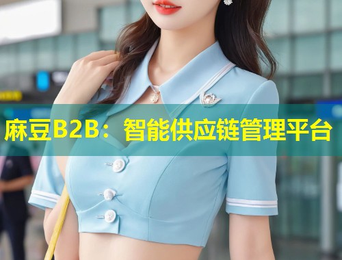 麻豆B2B：智能供应链管理平台