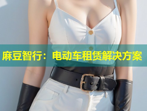 麻豆智行：电动车租赁解决方案