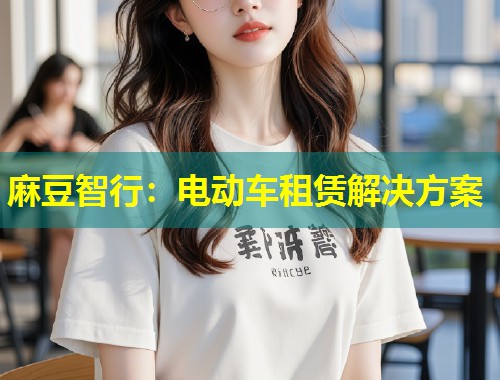 麻豆智行：电动车租赁解决方案