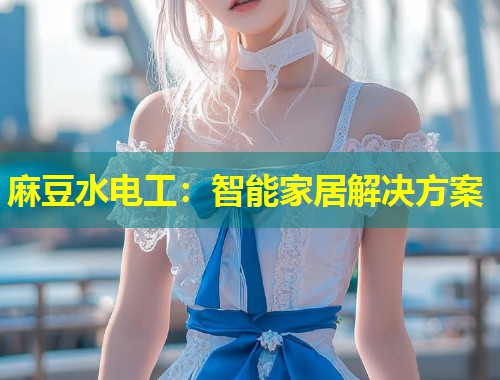 麻豆水电工：智能家居解决方案