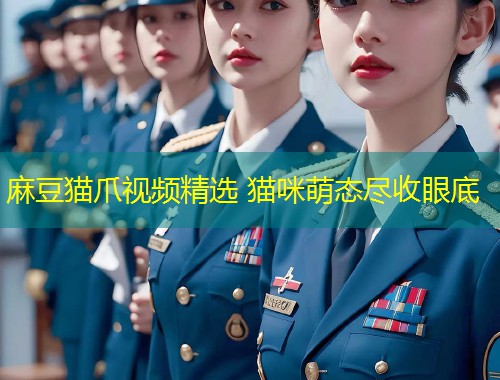 麻豆猫爪视频精选 猫咪萌态尽收眼底